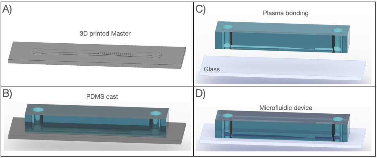 V_Saggiomo's tweet image. Can you use standard #3Dprinters to make #microfluidics for separating #microparticles down to 25 microns? 
Spoiler alert: YES we can on a “staircase microfluidic device” 
But why and how? 
paper: chemrxiv.org/engage/chemrxi…  1/12