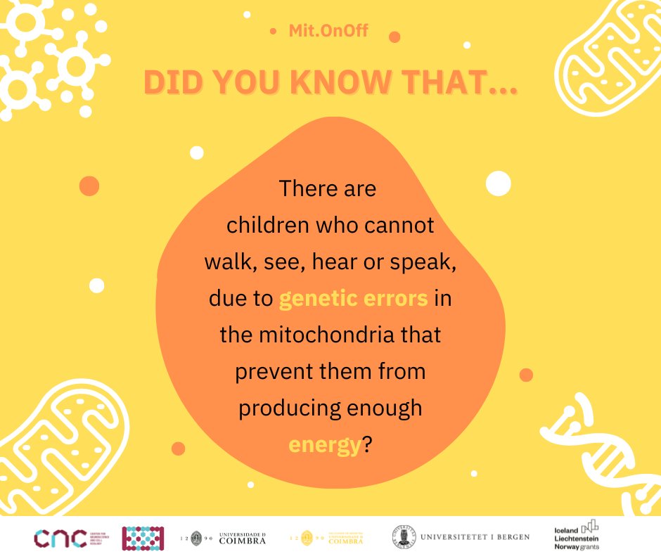 Lab of Mitochondrial Biomedicine & Theranostics tweet media