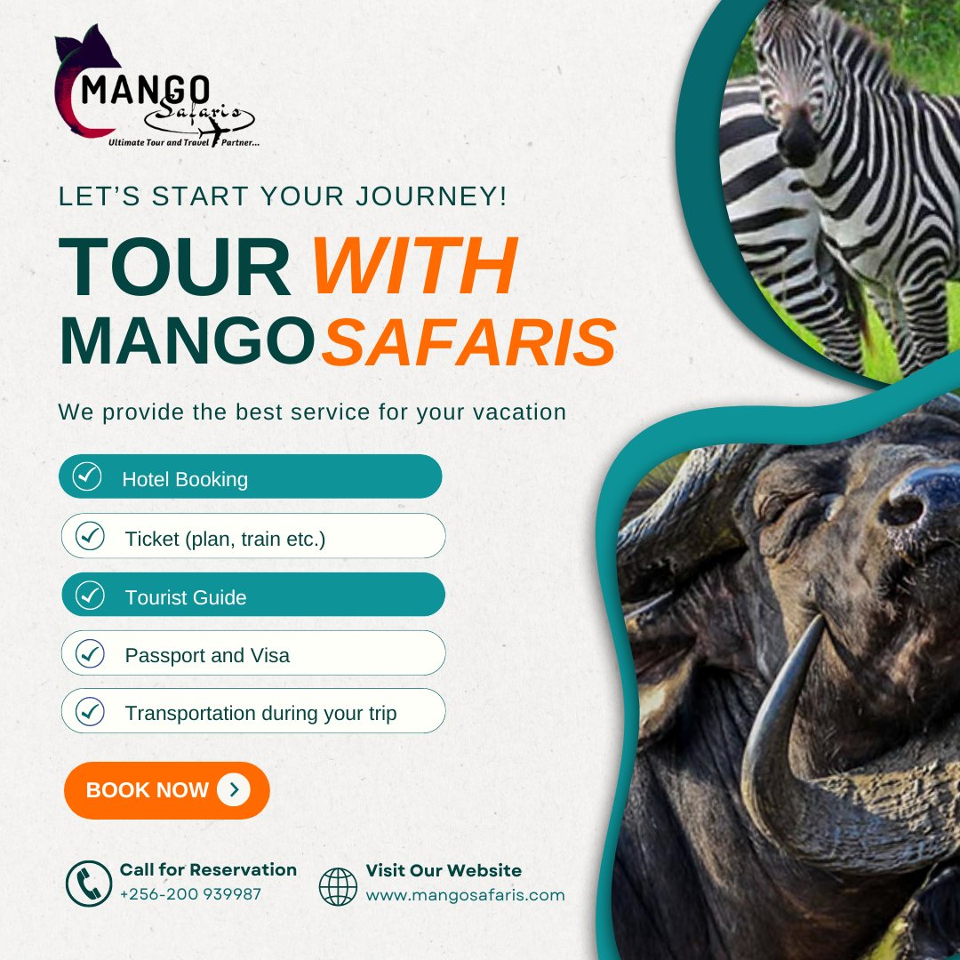 Mango Safaris Africa tweet media