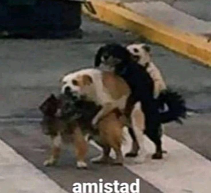 amistad