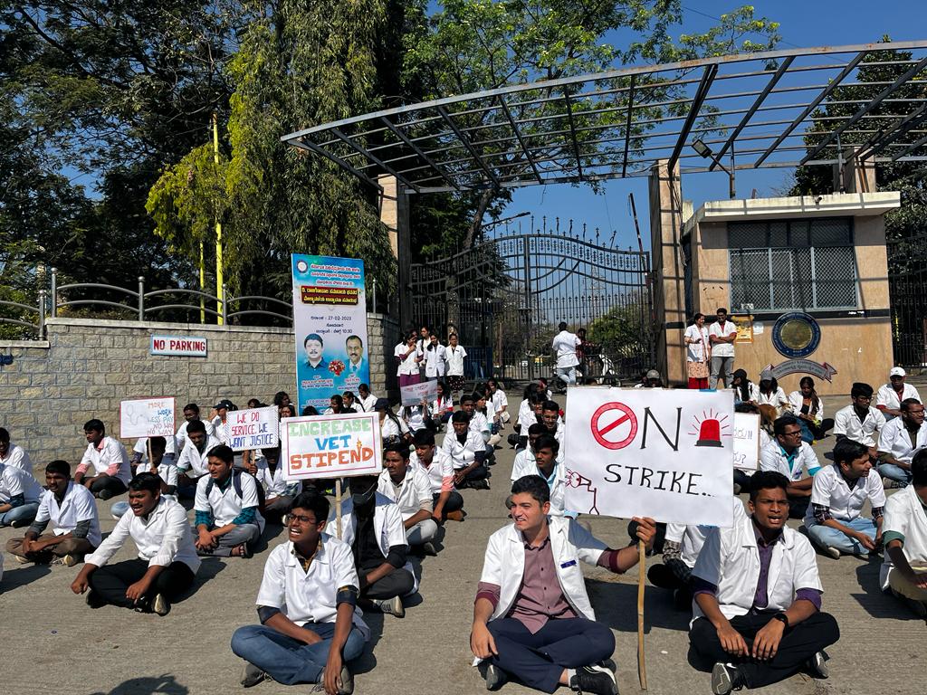 #KVAFSU students are on strike...
#increase_karnataka_vet_stipend
<a href="/CMofKarnataka/">CM of Karnataka</a> @KvafsuVets <a href="/Kvafsu_students/">KVAFSU Students Union</a> <a href="/PrabhuChavanBJP/">Prabhu Bhamla Chavan</a> <a href="/ANI/">ANI</a> <a href="/presidentVCI/">Dr. Umesh C Sharma</a>