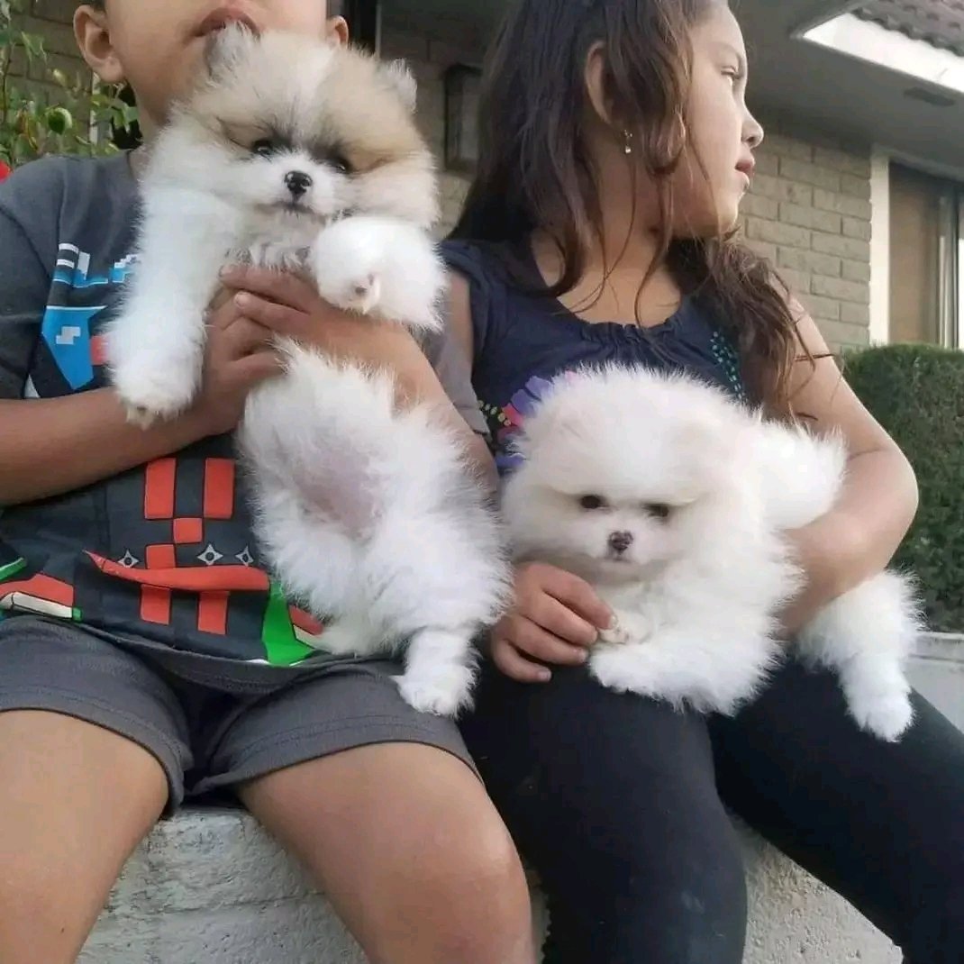 Mokom MlTA (@mltamokom) on Twitter photo 