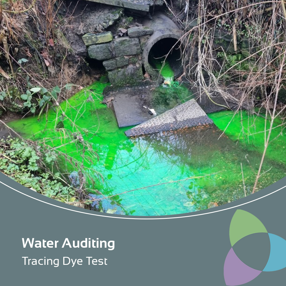 eyebright Ltd tweet media