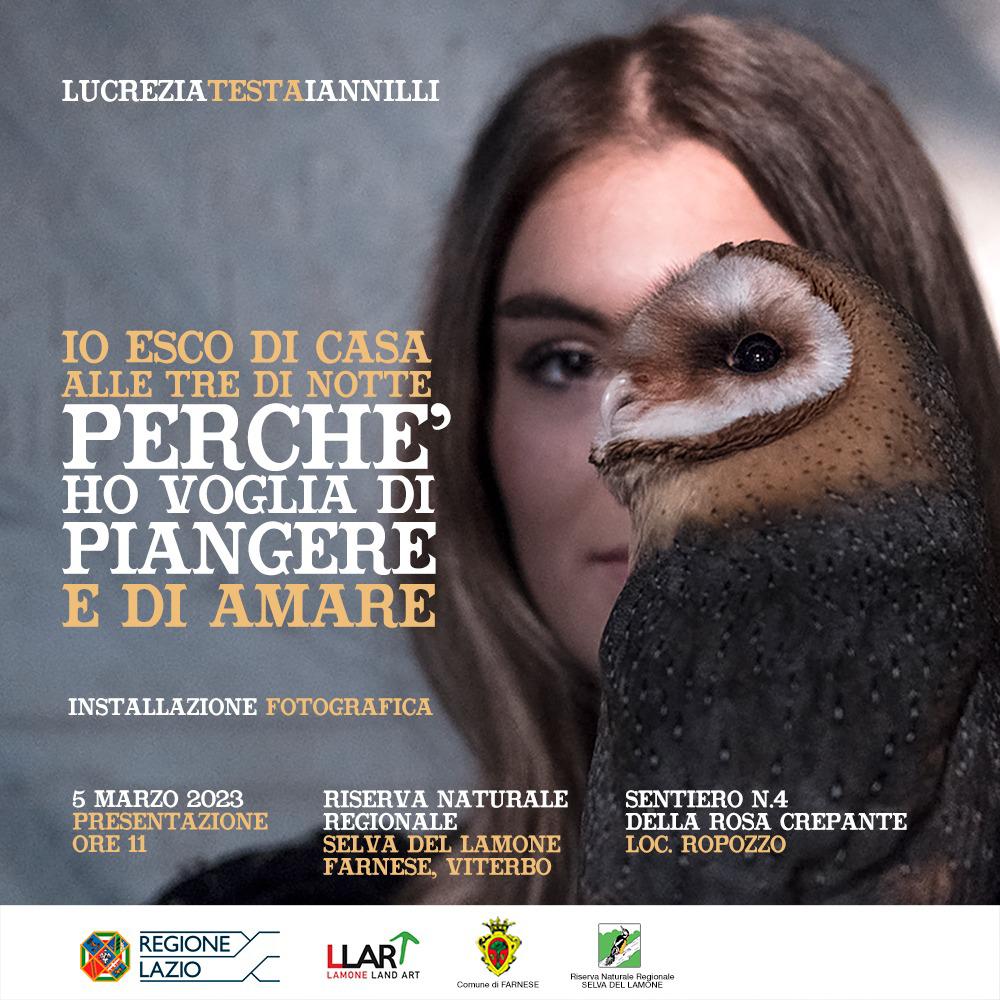 #openairinstallation #lucreziatestaiannilli #riservanaturaleregionaleselvadellamone #comunedifarnese #landart #contemporaryphotography #metamitho