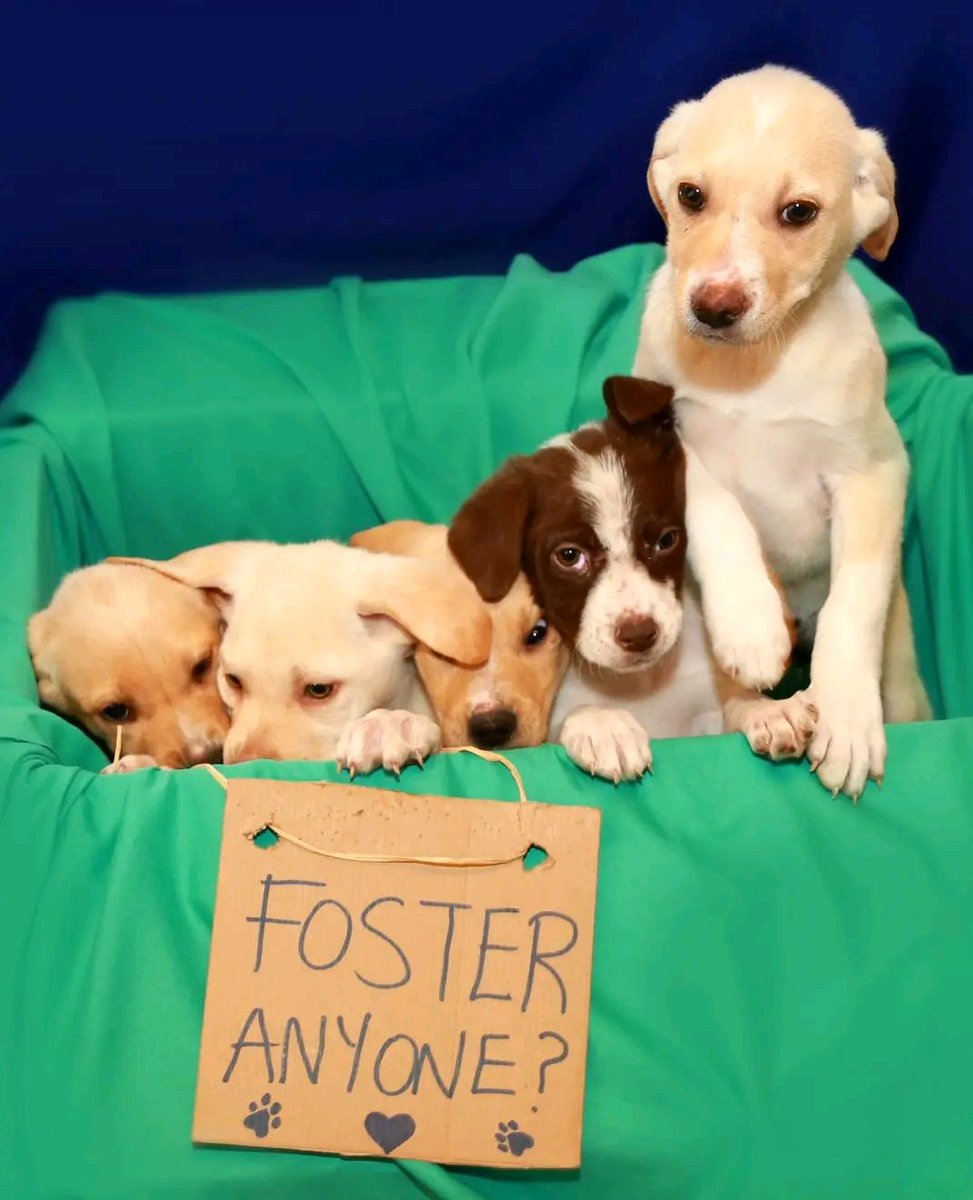 Mokom MlTA (@mltamokom) on Twitter photo 