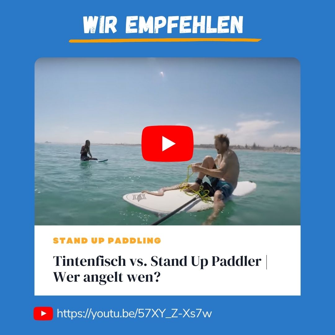 🏄‍♂️+🦑 =⁉️ 

„Ja, was denn nun?“ wird sich der Kopffüßer aus diesem Clip gedacht haben.  

Erst wird er per Seil aufs SUP Deck eingeladen und dann ist er doch nicht willkommen! 🙄

Schade, wir hätten den kleinen Wellenritt mit Tintenfisch gerne gesehen, können die Überforder...