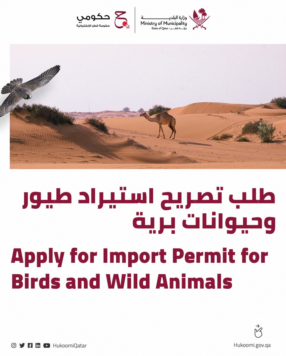 حكومي قطر on Twitter "You may submit a request online to the