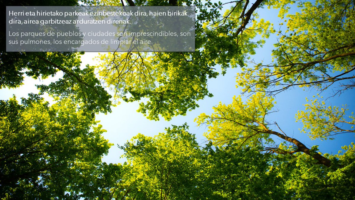 ¡El paisaje vegetal de pueblos y ciudades guarda secretos que desean ser descubiertos! Participa en el concurso escolar #miparquefavorito y, ¡protejámoslos!
👉 nireparkegogokoena.eus
#nireparkegogokoena #nuestrosparques #respeto #cuidado #ODS #concurso