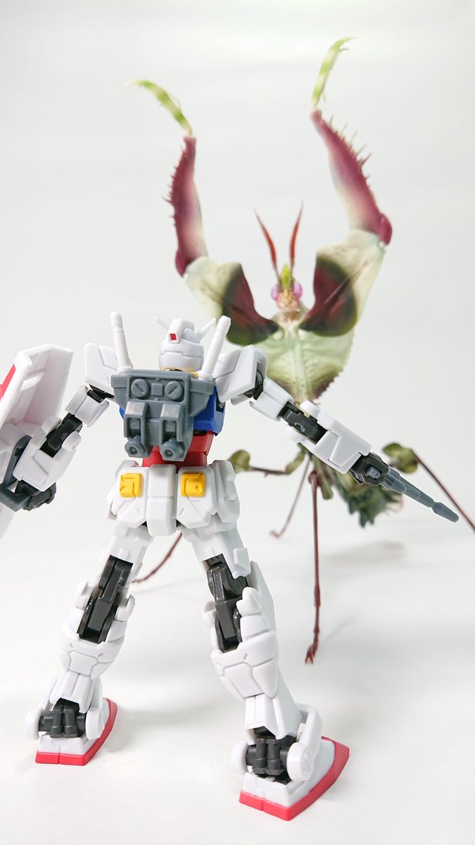 sakata_type90x's tweet photo. 一発でフルカラーが出てくれてよかった
全高約10cmと小さいながらもよく動きます
ビームサーベルはクリアカラー版に付いてるようだけどいらないかな
次弾はザクのようです
#機動戦士ガンダム
#CUPSULEACTION https://t.co/6SlX5DXI5i
