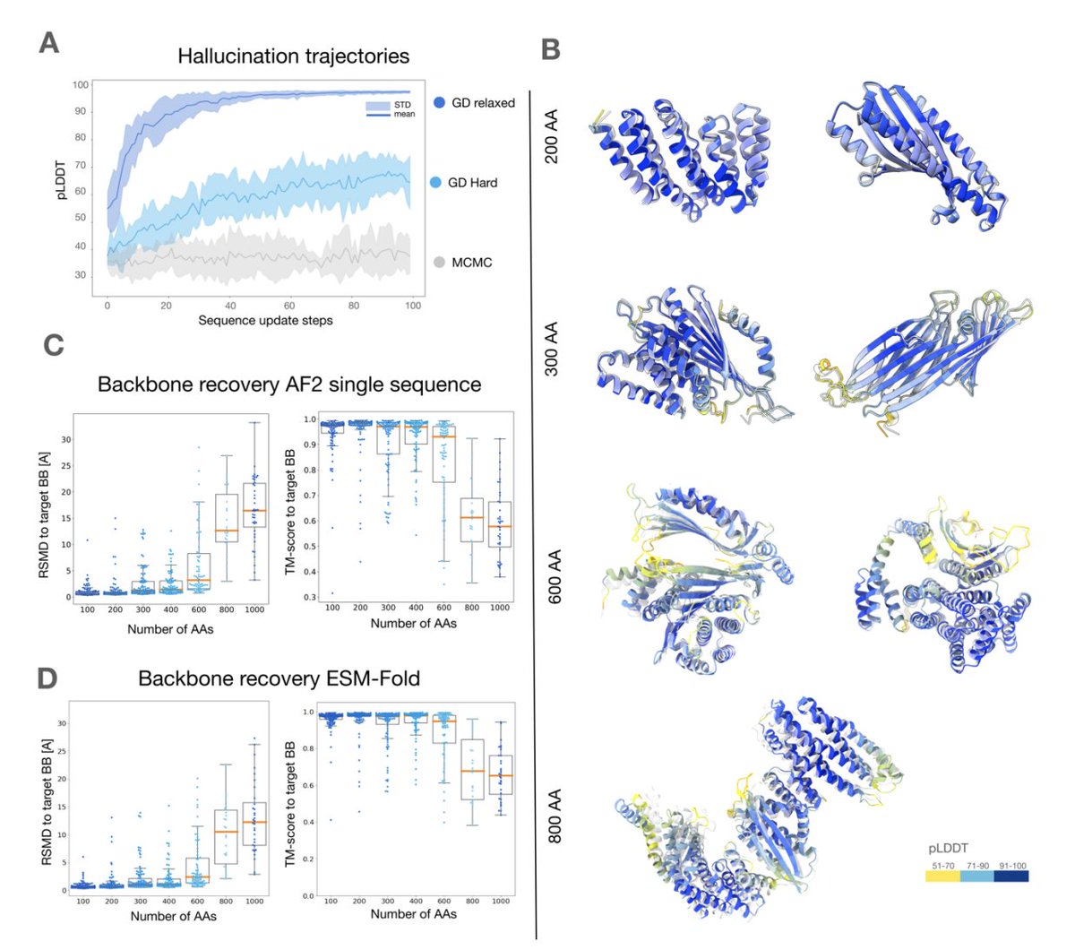 Efficiently generate de novo proteins by
- optimizing residue logits for max AF confidence
- redesigning the sequence using ProteinMPNN
Tested in the lab, including CryoEM structures
<a href="/chrisfrank662/">Christopher Frank</a> <a href="/AKhoshouei/">Ali Khoshouei</a> <a href="/sokrypton/">Sergey Ovchinnikov</a> @hendrik_dietz

biorxiv.org/content/10.110…
