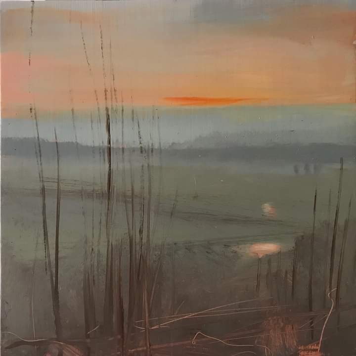 One of a new series, this was on location on Valentines Day. When I arrived, mist was everywhere, the near and far landscape emerged slowly. 
#enpleinairpainting 
#landscapepainting #enpleinairpainting #mist #southdowns  #contemporarylandscape 
#sussex
#wetlandconservation