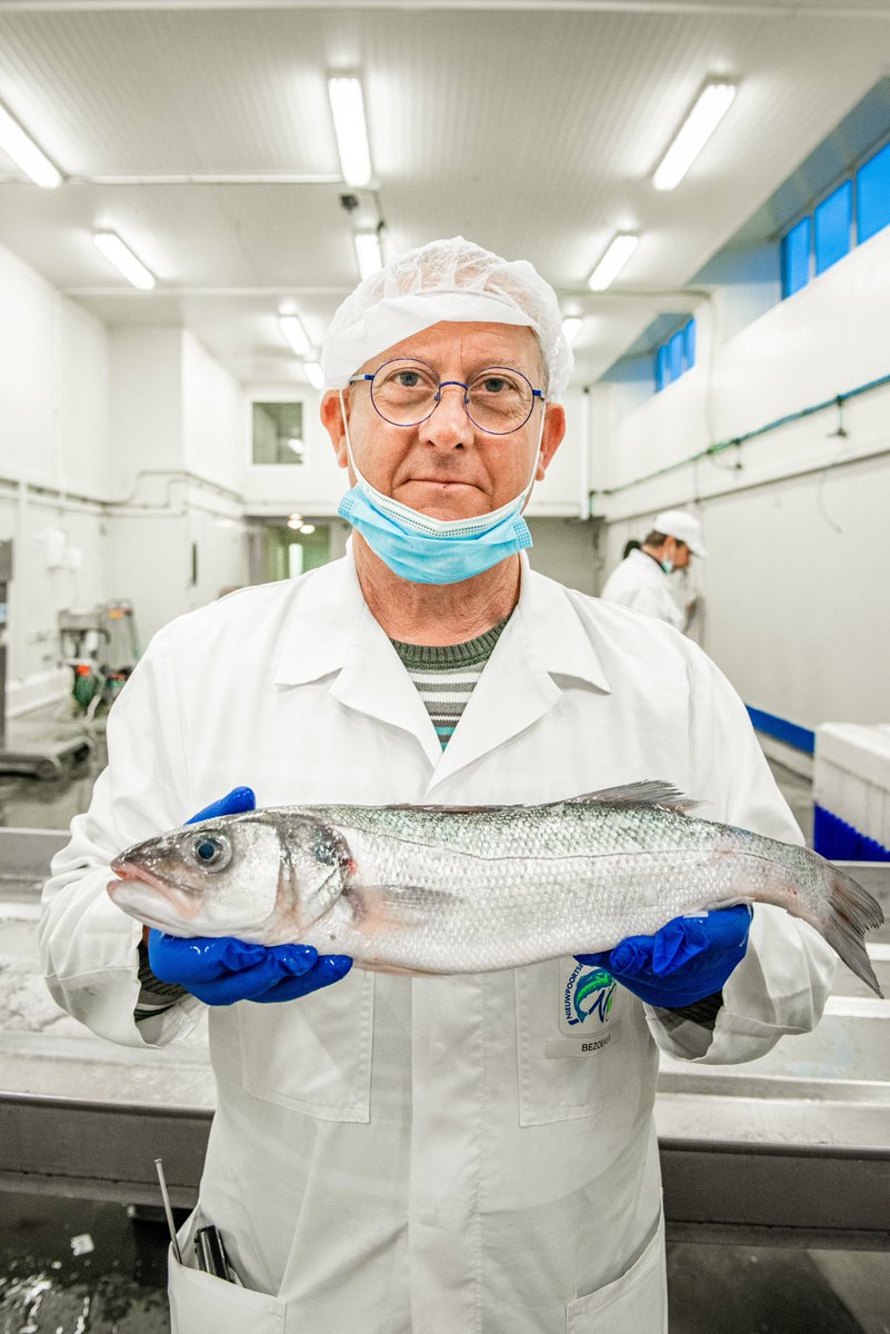 StadNieuwpoort's tweet photo. 🦐 Ben jij gebeten door de visserij? 
🧐 Op zoek naar een gevarieerde job met verantwoordelijkheid en oog voor kwaliteit? 

Bij Stad Nieuwpoort gaan we op zoek naar een veilingmeester! ⚓️

Interesse? Solliciteer nu 👉 https://t.co/3xS8wUFi3x https://t.co/k0FchfsZHM