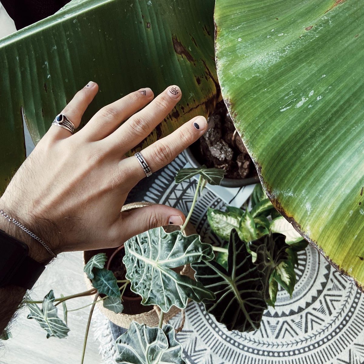 Bertorulez's tweet photo. ◼️… PLANT ADDICT…◼️

https://t.co/FP4lN2wfi8

#plantlover #nails #guystyle https://t.co/AEP6906gG4