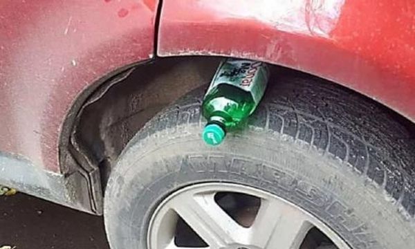 There are hundreds of car hacks out there. But these ones are genius. Learn more with these 31+ car hacks 🤯🌟

oneminutehacks.com/trending/carha…