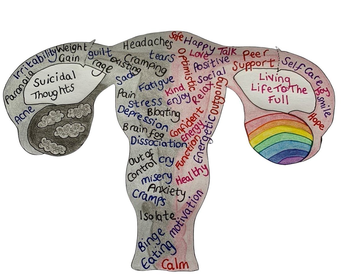 PMSEmotionStudy's tweet image. A fantastic drawing from one of our Research Advisory Group members illustrating the extreme mood shifts that can disrupt daily life and damage relationships in Premenstrual Disorders. We are so lucky to have such a wonderful group of Experts by Experience! #pms #PMDD