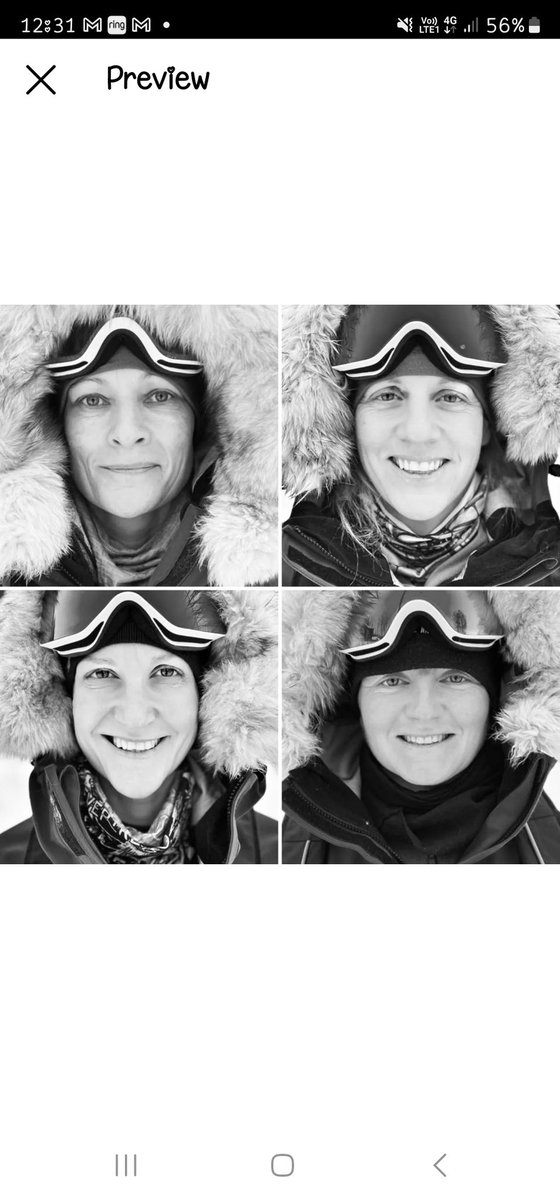 Antarctic Fire Angels tweet media
