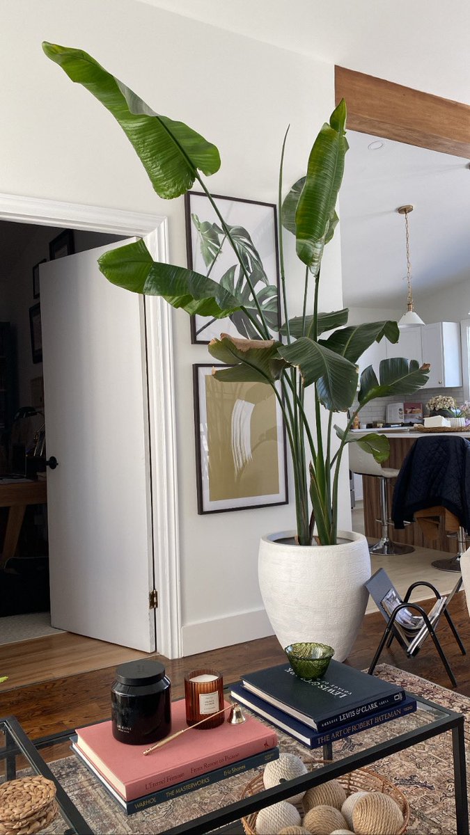 Dave Squires tweet media