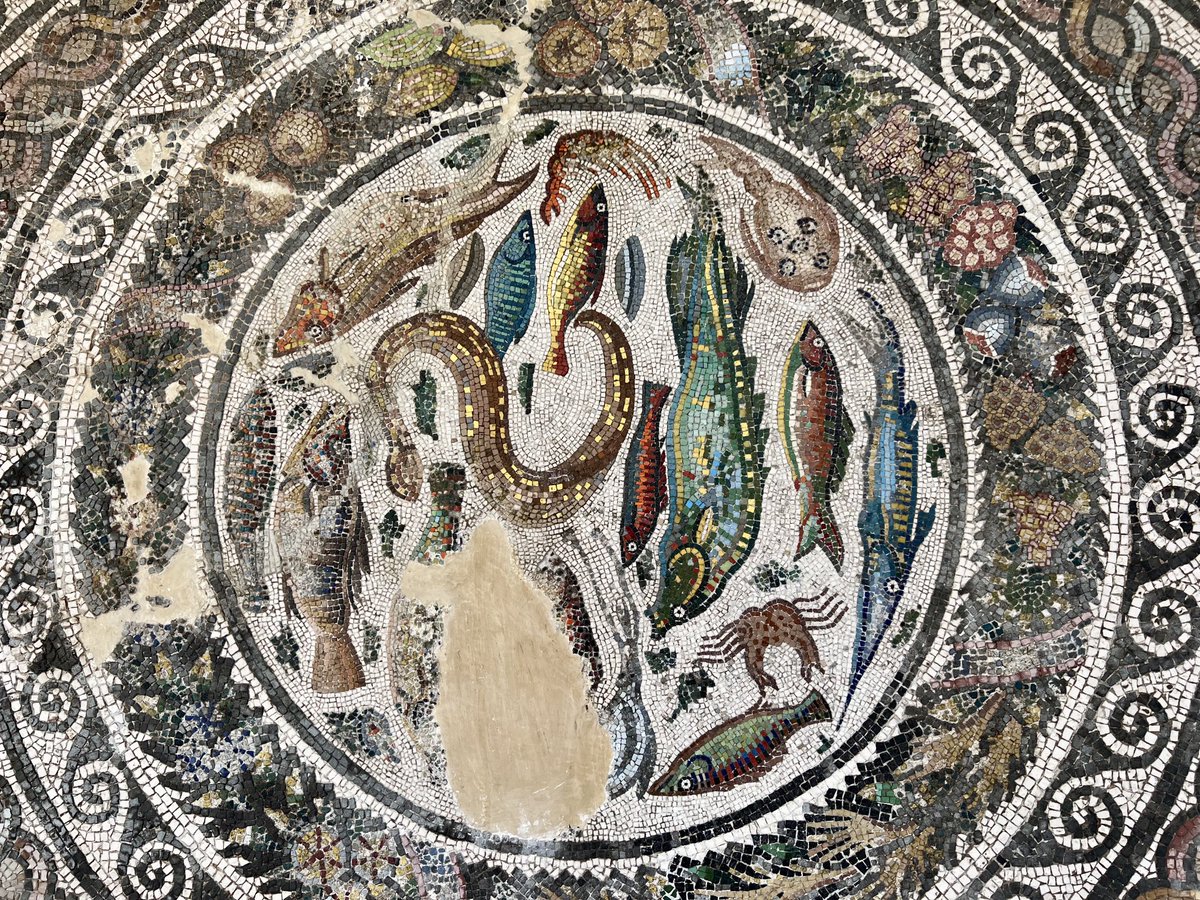 Despite of living in the center of the Iberian Peninsula, the roman inhabitants of Toletum missed a lot the sea and its creatures. Toledo, 3rd Century.