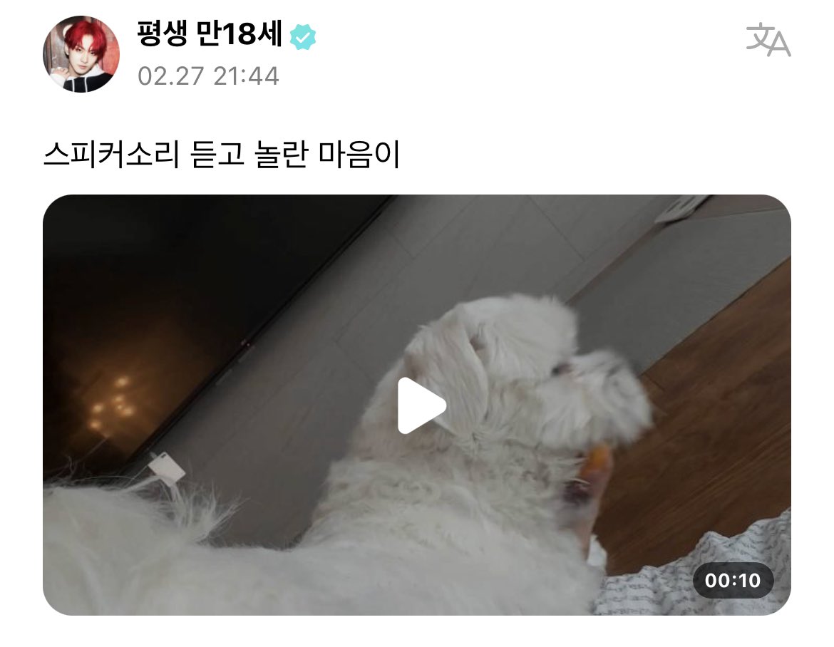 dobooboy's tweet photo. 스피커 소리 듣고 놀란 마음이 🥹 https://t.co/aCdZ6e8LNL