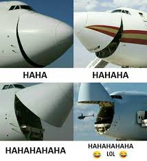 Wild Weasel Apparel tweet media