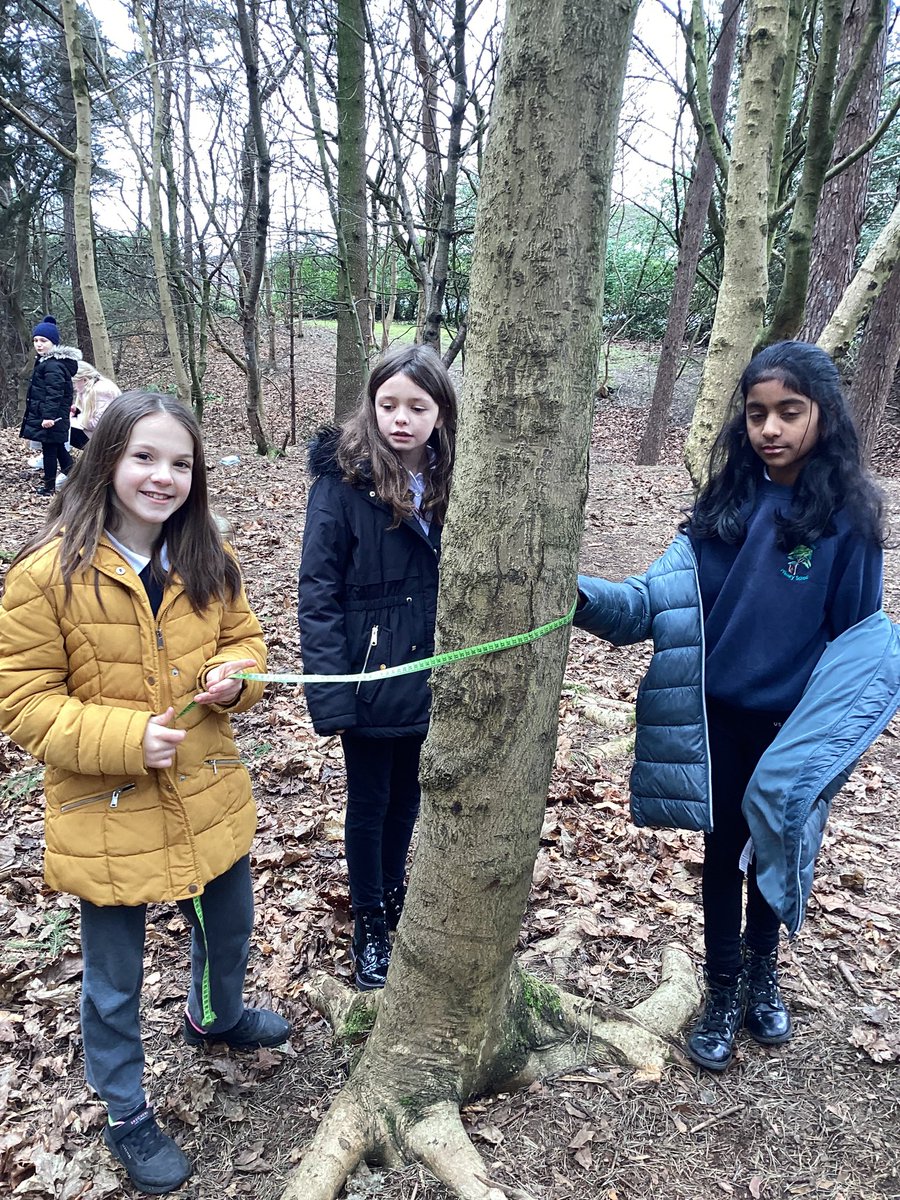Today P5 measured different objects in the forrest. They recorded their results in cm and mm 😁