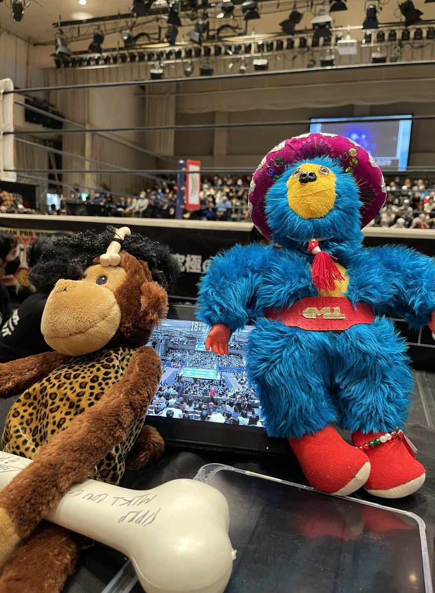 新日本プロレス後楽園ホール大会 FANTASTICA MANIA 5日目🇲🇽✨ 解説席