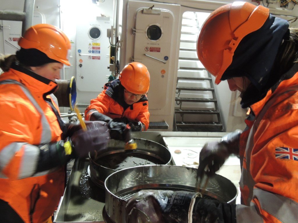 BAS_News's tweet image. Last night the seafloor biology team on #SDAScience tested two types of small trawls to sample animals from the sea floor. The sample came up with lots of mud so we all got messy sieving it away and revealing the amazing creatures inside! 📸@glupglup2