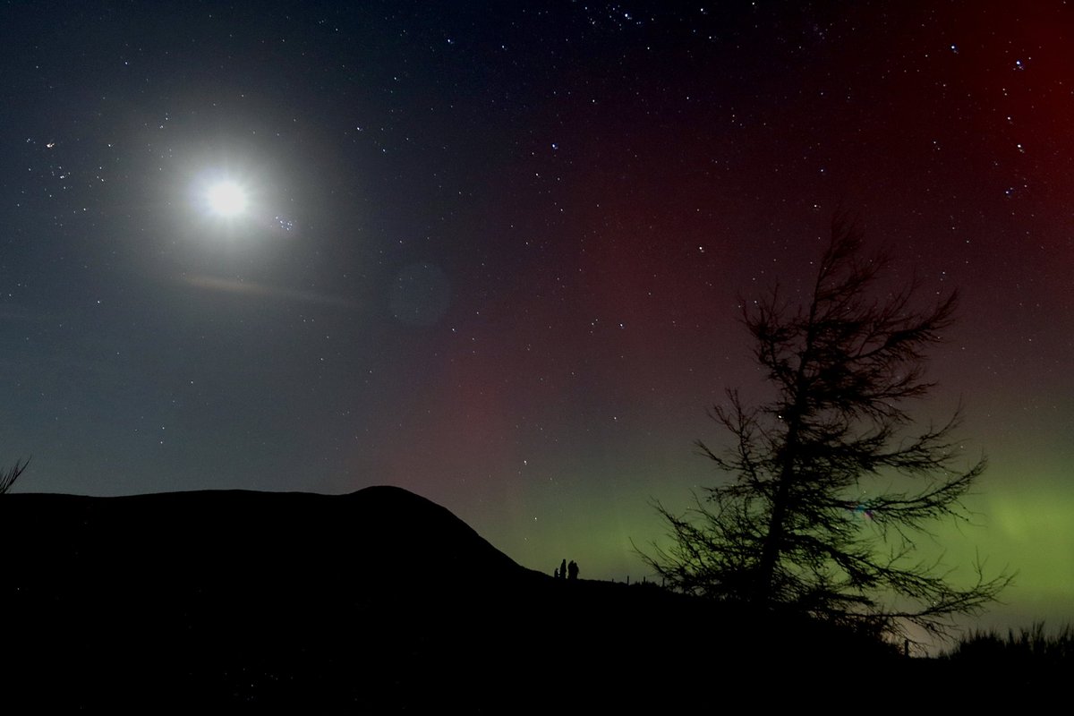 last night I captured the Aurora at Falkland Hill, Fife #northernlights #aurora #auroraborealis #nightphotography #photography #amateurphotography #canon #canonphotography #canondslr #scotland #fife #lomondhills #falklandhill #naturalbeauty #mothernaturesbeauty #longexposure