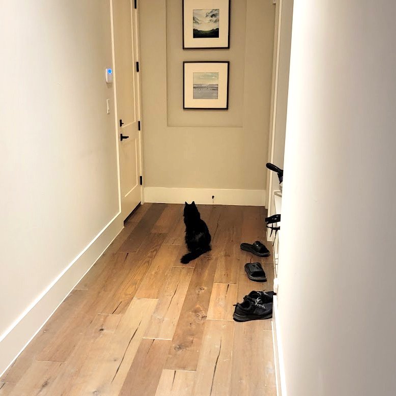 Evan Heling tweet media