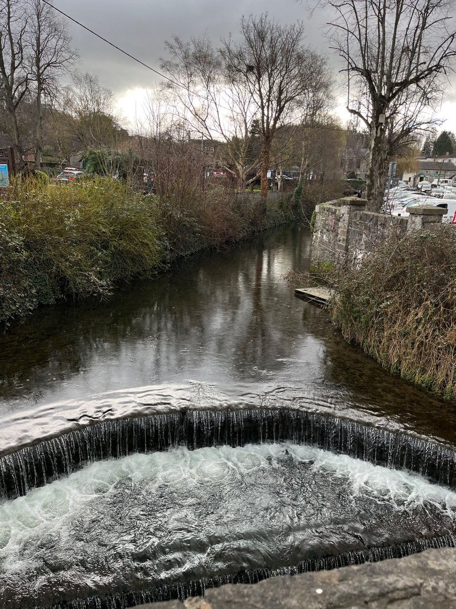 Day 57 #100daysofwalking cold and damp today in Lucan. A day for the ducks. #singingintherain #wellness #Wellbeing #mentalhealthsupport