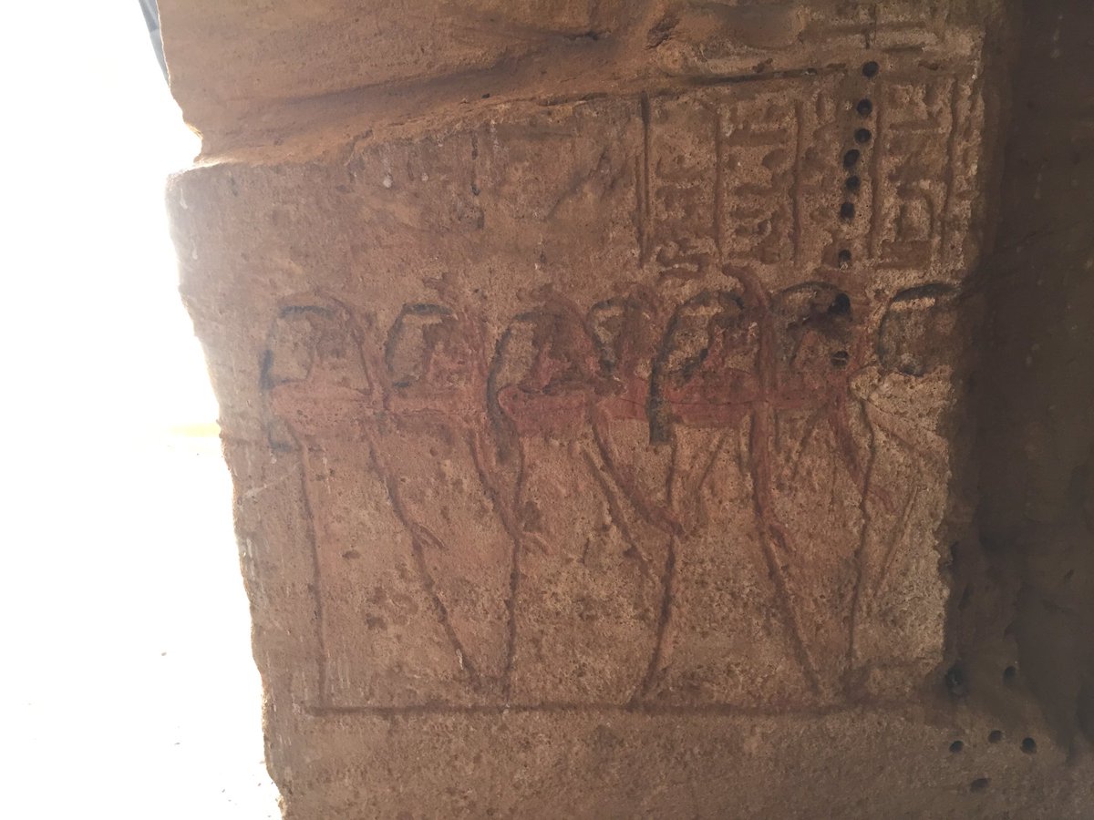 landoflove20's tweet photo. The overseer of the #Horus Temple in #Aniba , Pennut loved to be depicted with his wife Takha & Daughters , he lived during King #RamsesVI of 20th Dynasty. https://t.co/AaajCpGjuL