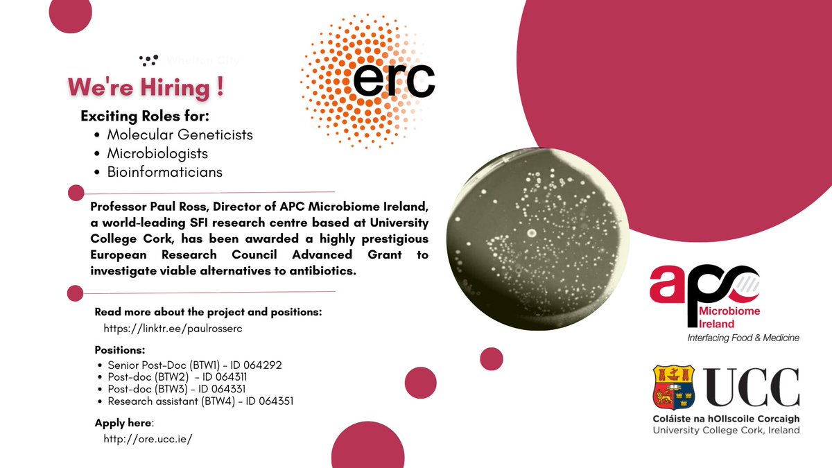 APC Microbiome Ireland (@pharmabiotic) on Twitter photo <a href="/Pharmabiotic/">APC Microbiome Ireland</a> Director and PI <a href="/ProfPaulRoss1/">Prof Paul Ross</a> is building a research team to work on his prestigious <a href="/ERC_Research/">European Research Council (ERC)</a> -funded award to investigate alternatives to #antibiotics.
If you are interested in becoming part of this team, read more here linktr.ee/paulrosserc <a href="/Pharmabiotic/">APC Microbiome Ireland</a> Director and PI <a href="/ProfPaulRoss1/">Prof Paul Ross</a> is building a research team to work on his prestigious <a href="/ERC_Research/">European Research Council (ERC)</a> -funded award to investigate alternatives to #antibiotics.
If you are interested in becoming part of this team, read more here linktr.ee/paulrosserc