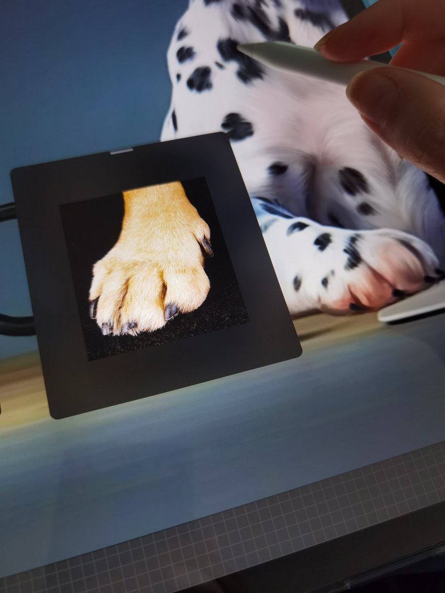 #WIP
AI can't draw paws, but I can 😌