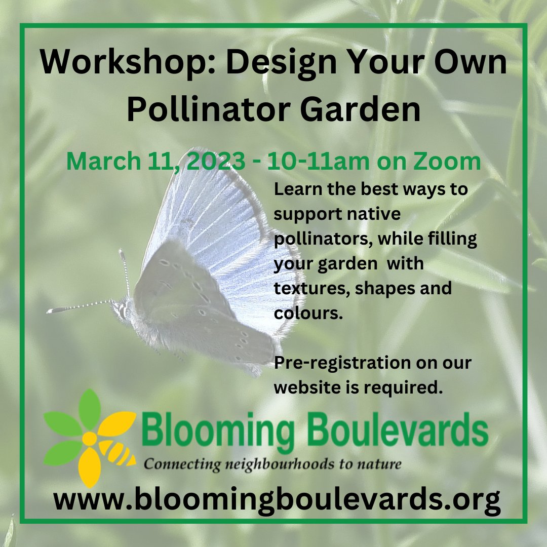 Our next free workshop - Design Your Own #PollinatorGarden - is coming up on March 11. Learn how you can provide food and habitat for pollinators in your own yard!

Pre-registration is required - bloomingboulevards.org/book-online

#habitatgarden #ecogarden #gardenwebinar #gardenworkshop