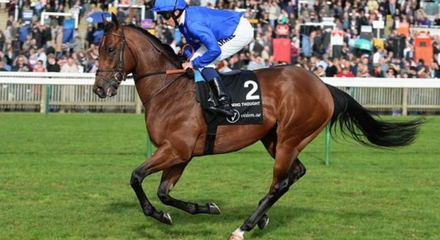 thorough_bid's tweet image. 𝐁𝐫𝐞𝐞𝐝𝐢𝐧𝐠 𝐑𝐢𝐠𝐡𝐭 to CHARMING THOUGHT (Lot 36):

🐴 Oasis Dream x Annabelle&apos;s Charm
🏆 𝗪𝗢𝗡 G1 Middle Park Stakes (6f)
📈 Best OR 116
🤠 Consigned by @LMStallionsLTD

Full catalogue: thoroughbid.co.uk/collection/25

#𝐌𝐚𝐫𝐜𝐡𝐒𝐚𝐥𝐞⭐️ | 𝐅𝐑𝐈 𝟑 𝐌𝐀𝐑