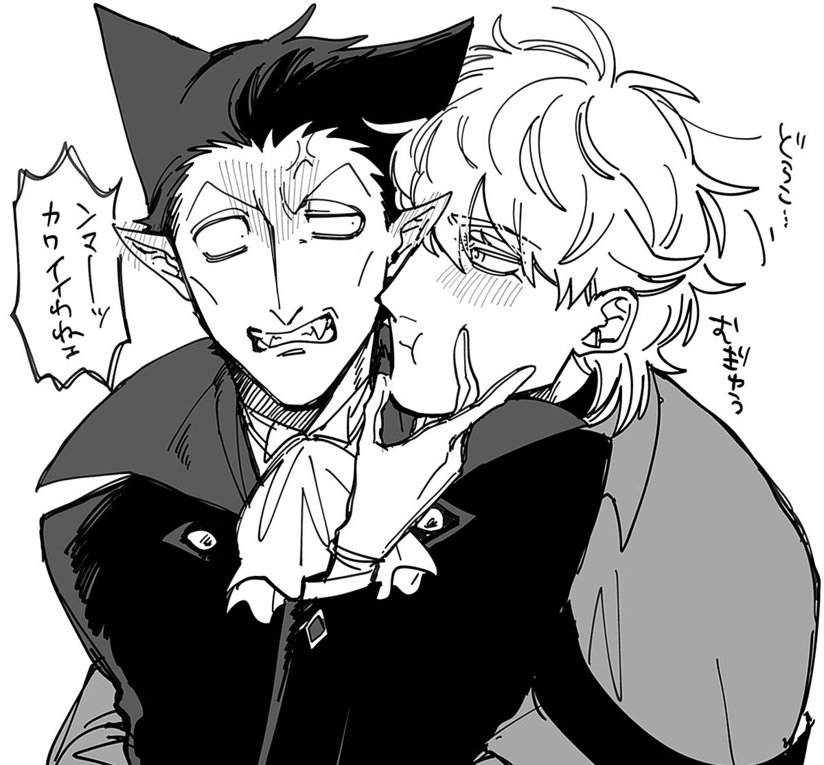 ロナドラ 