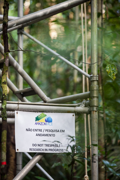 AmazonFACE tweet media