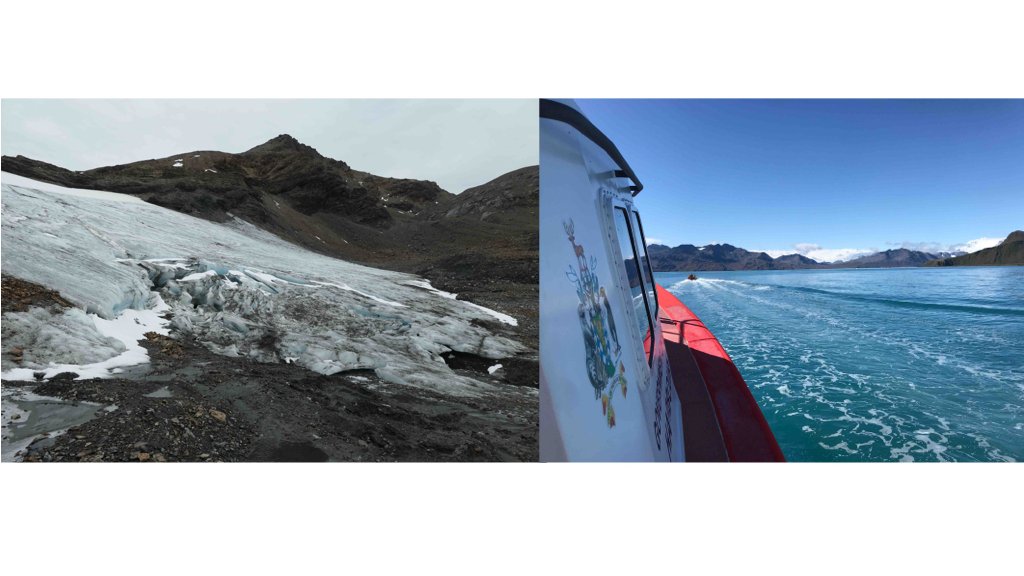 Last day of field work around Glacier Col ❄️
Good bye #SouthGeorgia and thanks <a href="/GovSGSSI/">Government SGSSI</a> 
and <a href="/BAS_News/">British Antarctic Survey 🐧</a> for your support!