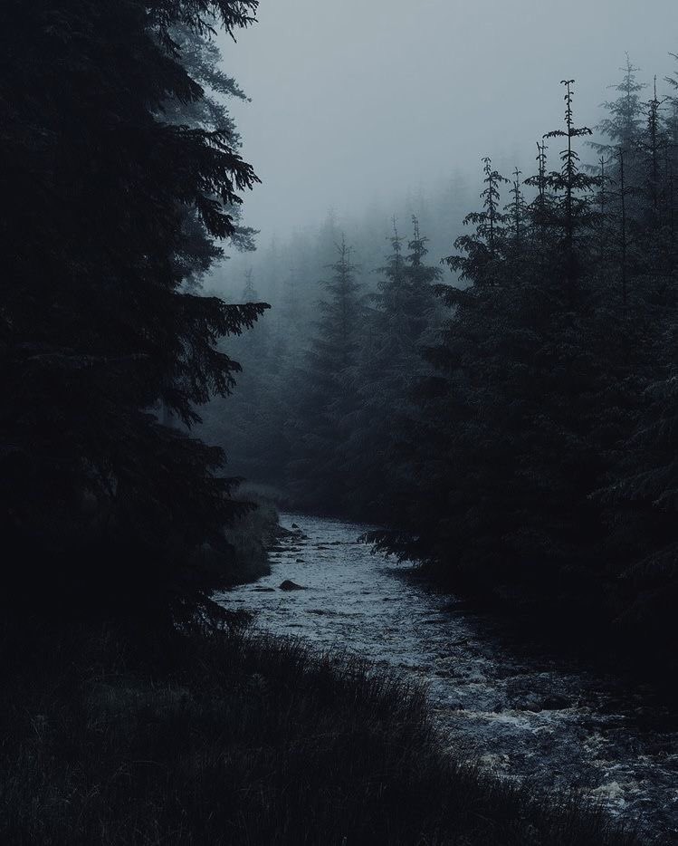 gIoomyweather's tweet image. darkness.