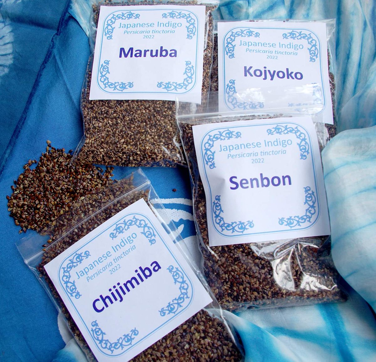 We are selling or giving these bulk Japanese indigo seeds to any group or individual seriously interested in trialing a larger scale planting. Offer only available to UK. Contact us for details.