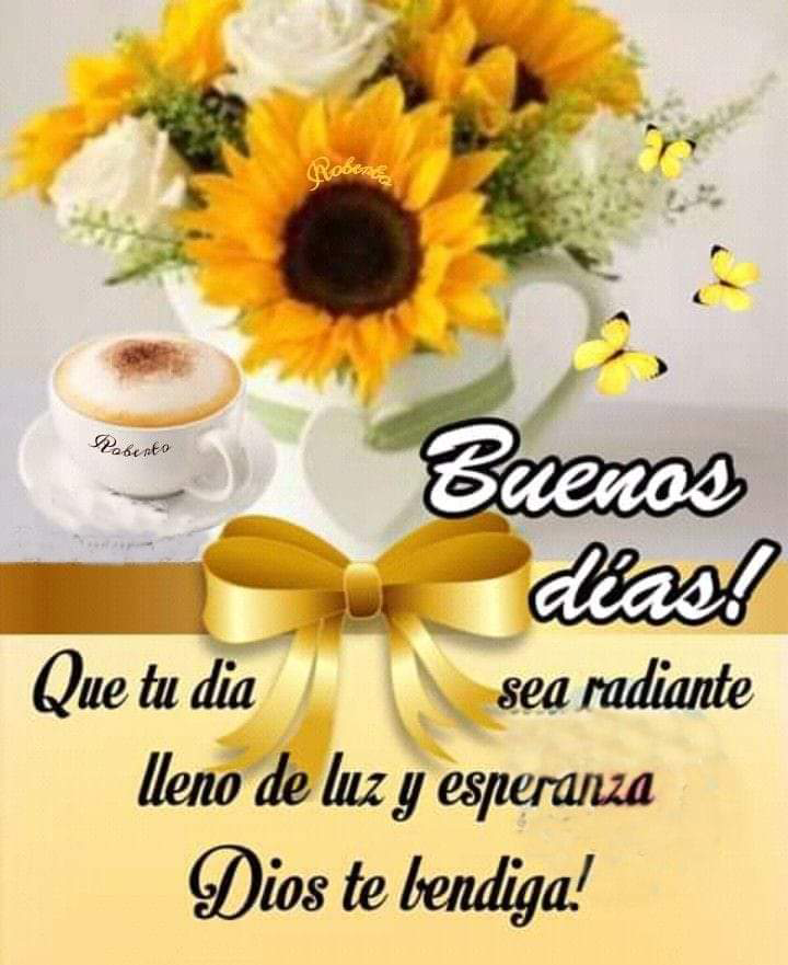 MariaJuarezVal tweet picture