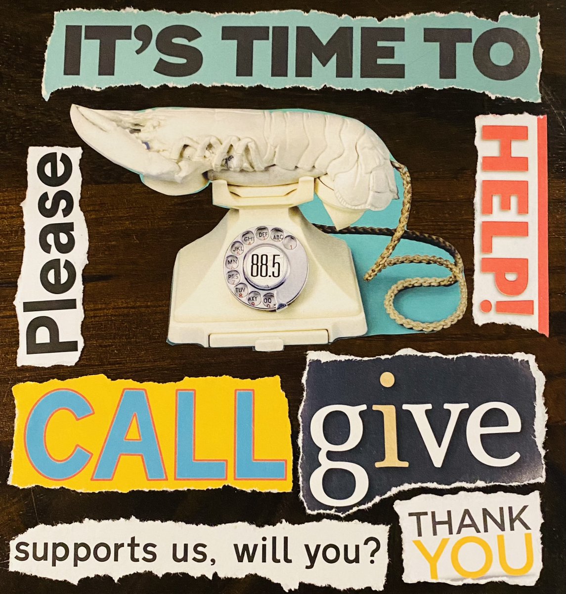 THANK YOU for supporting YOUR <a href="/wmnf/">WMNF 88.5 FM</a>  I am doing my part, now it is your turn to call 813 239 9663 or tap the WMNF app or wmnf.org   Lots of brand new swag that needs to be had...by YOU! 813 239 9663 THANKS!