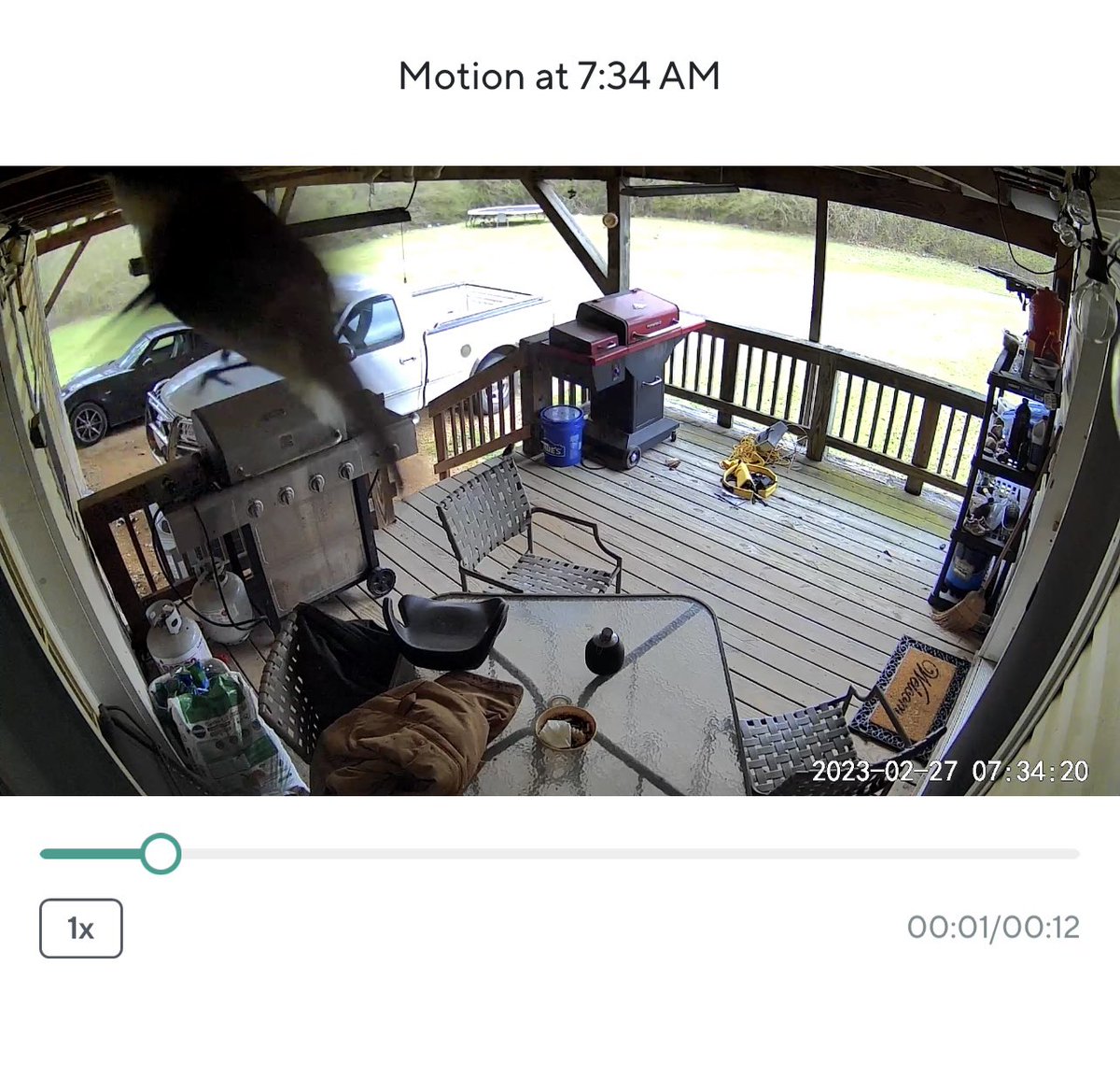 MatthewAderhold's tweet photo. I love my @WyzeCam, but really wish the alerts weren’t rendered useless by a simple bird. All day I’m getting pinged and when submitting to try and help, bird isn’t an option and “pet” hasn’t seemed to help any… https://t.co/WH2LUGbz7Z