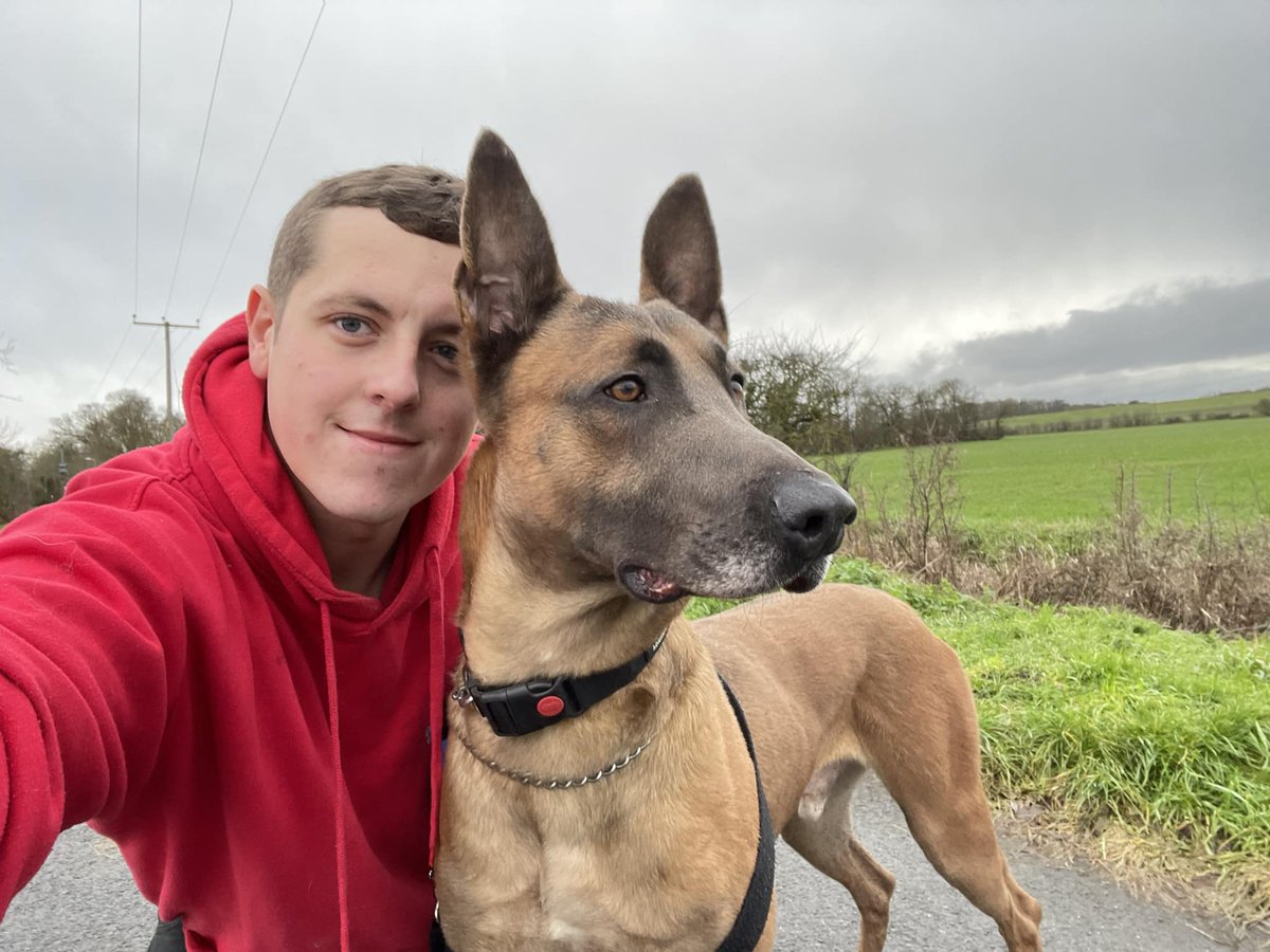 gsrescueelite's tweet photo. Buster is 3yrs old and he was found tied to some railings, Buster has a very high drive and is looking for an exp, child and pet free home please 
#dogs #GermanShepherds #Essex 
https://t.co/SPXd0mcxfX https://t.co/fNL3ZpI1Dj