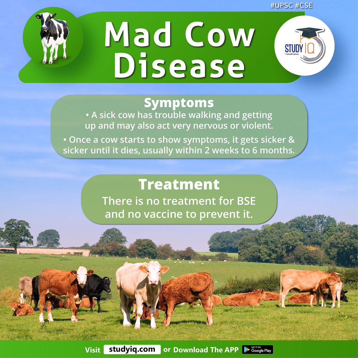 Mad Cow Disease

#madcowdisease #brazil #china #cowdisease #bovinspongiformencephalopathy #bse #centralnervoussystem #cattle #cellsurfaces #nervoussystems #brain #spinalcord #symtoms #upsc #cse #ips #ias #worldaffairs