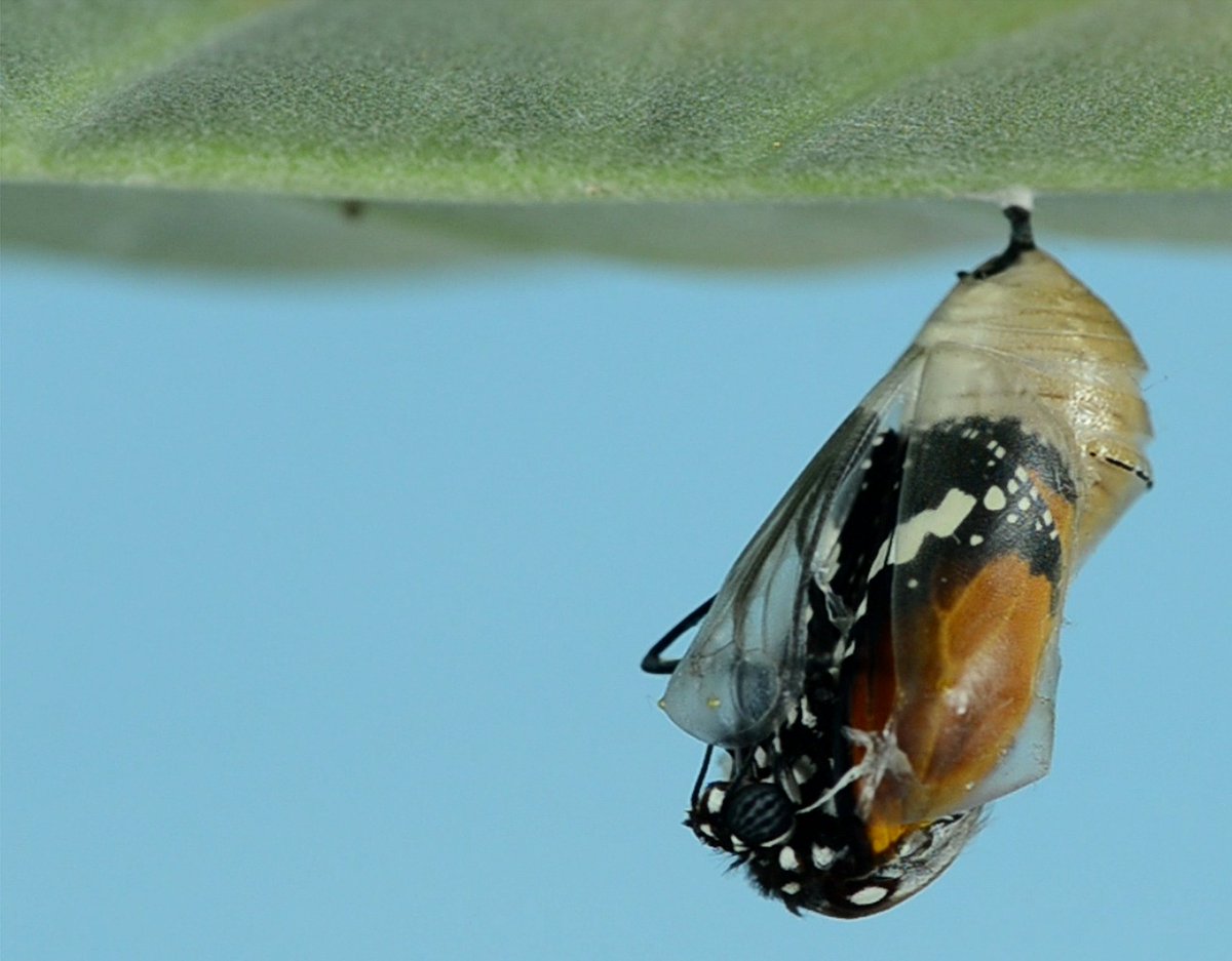 The easiest way to gauge a communities' priorities is by looking at how they behave as employees and consumers. In this week's #MondayMusings, Inga Sibiya takes a look at how things have changed in the past years. bigambitions.co.za/monday-musings…