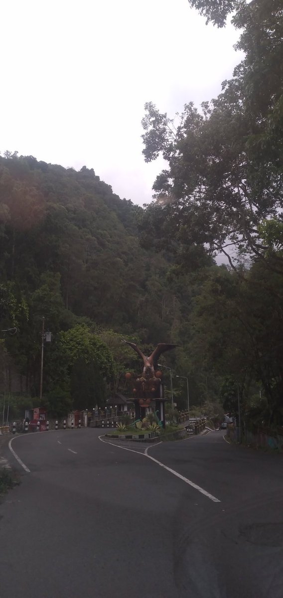 ghoziahmad's tweet photo. Manuk yg sia². Sdh terlanjur kepakkan sayap Dr aku ngaliyah sampai td siang blm juga terbang. Kan kasihan. https://t.co/DvbB8Oyh1A