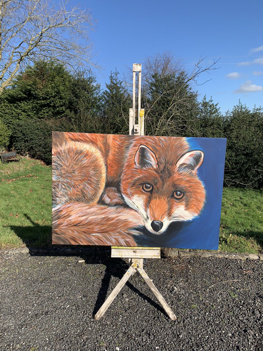 k88gater's tweet photo. Bit of sunshine to photograph pictures outside 😊 https://t.co/bCgUMuKFdd