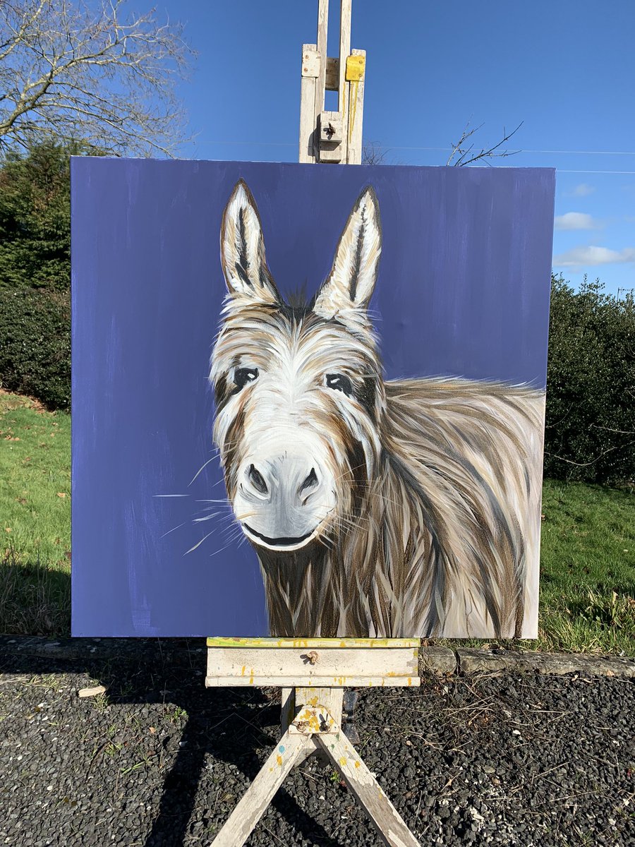 Bit of sunshine to photograph pictures outside 😊