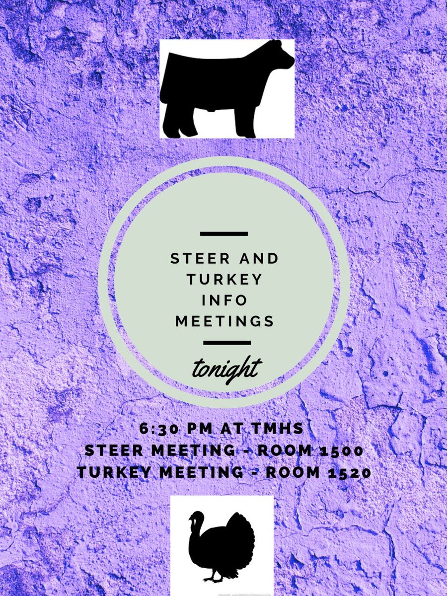 INFO MEETING ONLY: If you are interested in raising steers or turkeys for the 2024 TISD Project Show and have any questions please come to tonight's meetings with Mr. Thomas and Mrs. Smith. See flyer below for more info!